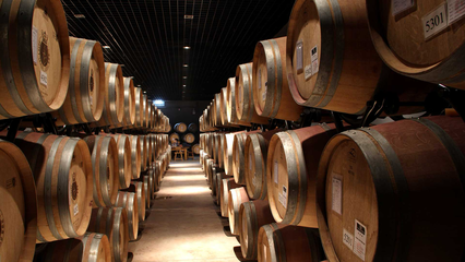 永寧縣:筑強(qiáng)現(xiàn)代化產(chǎn)業(yè)體系 推進(jìn)葡萄酒高質(zhì)量發(fā)展