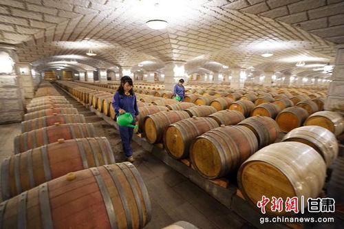 嘉峪關(guān) 觀城 酒鋼不僅生產(chǎn)鋼鐵 還有亞洲最大葡萄酒窖