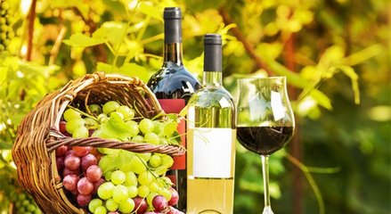 藍菲葡萄酒學院丨終于搞清楚有機葡萄酒、生物動力法葡萄酒了!