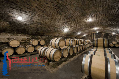 綠色內容的暢想者和孵化商