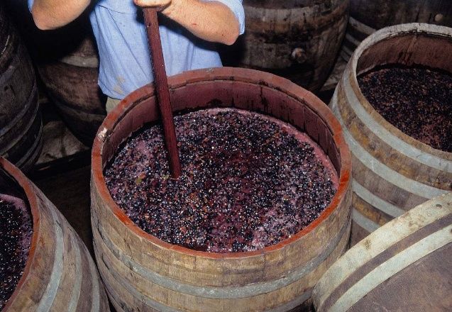 葡萄酒是這樣釀造的,你還會(huì)嫌它&amp;quot;臟&amp;quot;嗎?